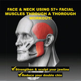 Jaw Exercise, Jawline Facial Toner & Exerciser, Level 1, 2 and 3